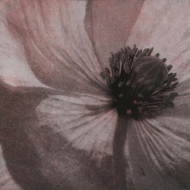 Photopolymerer Tiefdruck von Peter Flöry | Foto: Galerie Artinnovation Peter Flöry