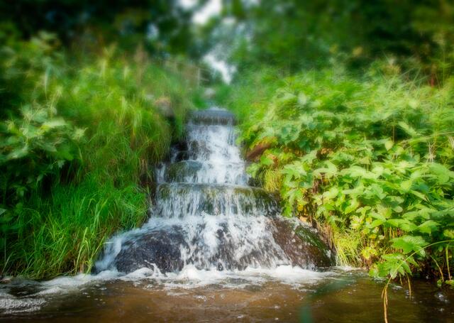 Cover des Kalenders | Foto: Karl Wiesinger