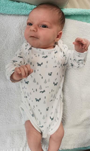 Roland Christian
Geburt: 18. August
52 cm, 3.740 g
Sandra Maier und Christian Groß aus Trahütten | Foto: Privat