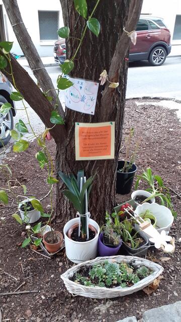 Sehenswert ist diese "Blumenstation" in der Rotenmühlgasse.