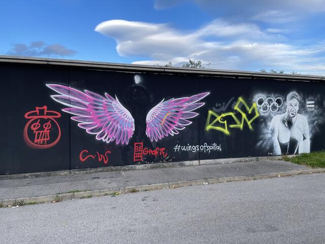 Die Wings of Spittal beim Parkplatz der drautal perle wurden erneut verunstaltet.