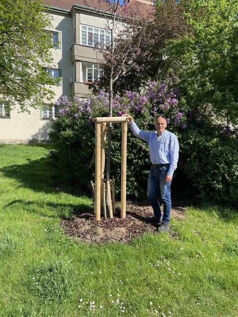 Stadtbaum-Experte Alexander Mayr-Harting, hier im George Washington Hof.