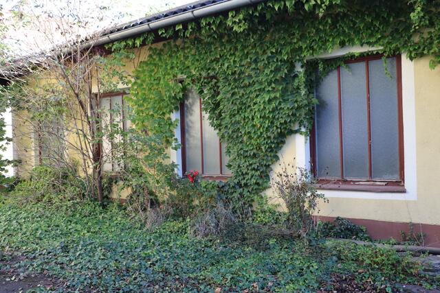 Noch umrankt Efeu die stillgelegte Tischlerei. Künftig entstehen hier Gemeinschaftsräume, darüber die Wohnungen. | Foto: Edith Ertl
