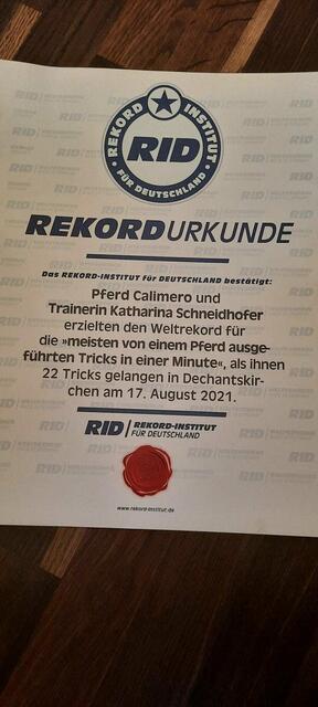 Die Rekord-Urkunde vom Rekord-Institut für Deutschland.
