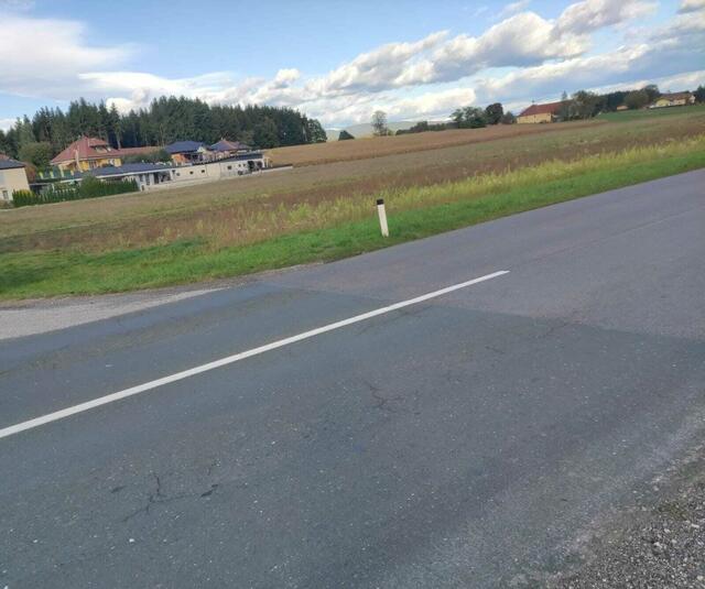 Betroffene Mutter beklagt die Gefahr von der Siedlung auf den Gehweg zu kommen.  | Foto: Privat