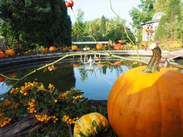In Niederösterreich gibt's auch im Herbst einige tolle Ausflugsziele.