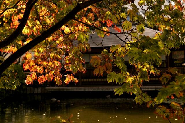 Teehaus im Herbstflair 