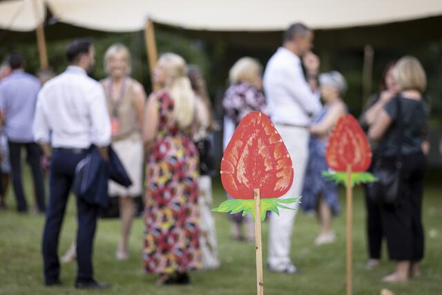 Die Erdbeeren als Corona-Abstandhalter wurden an den Spielorten des Styriarte-Festivals aufgestellt. Hier beim Fux.Opernfest im Schloss Eggenberg.