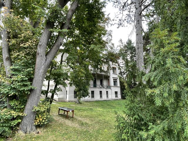Noch ist die Manner-Villa von Bäumen umringt.