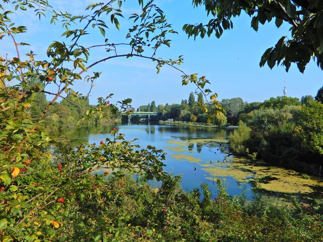 Blick von der Straßenbahnhaltestelle hinunter zum Wasserpark; im Hintergrund rechts der Donauturm...