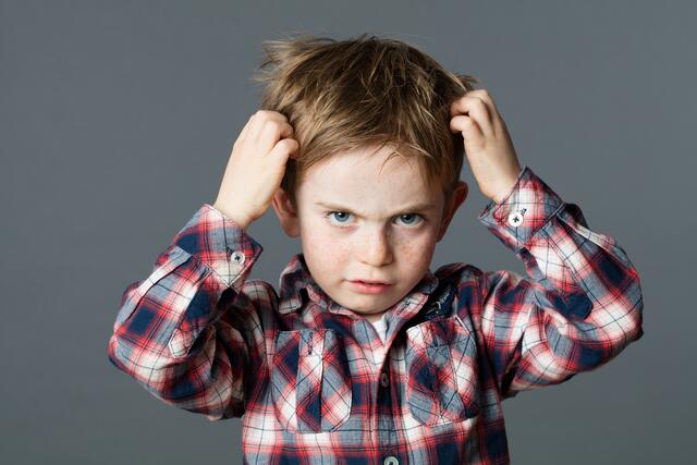 vor allem in den Herbst- und Wintermonaten häufen sich die Kopflausbefälle in den Kindergärten und Schulen.