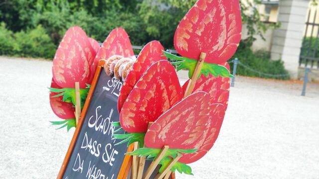 Sie wurden verkauft: Styriarte-Erdbeeren