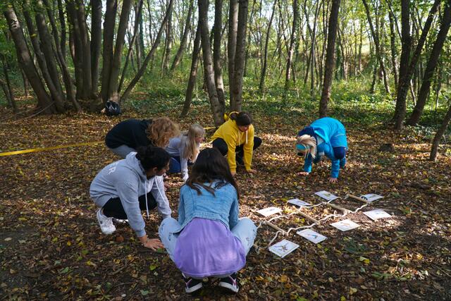 Die Neufelder Schüler verbrachten einen aktiven Tag im Wald. | Foto: KLAR! Leithaland