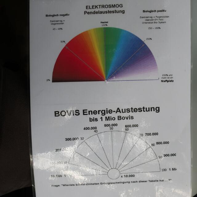 Austestungstabelle für Bovis-Werte. | Foto: Ingrid Ruf
