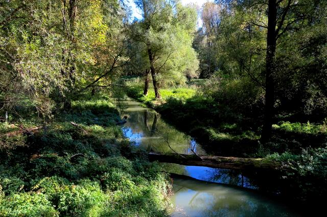 Was wäre eine Au ohne Wasser?
