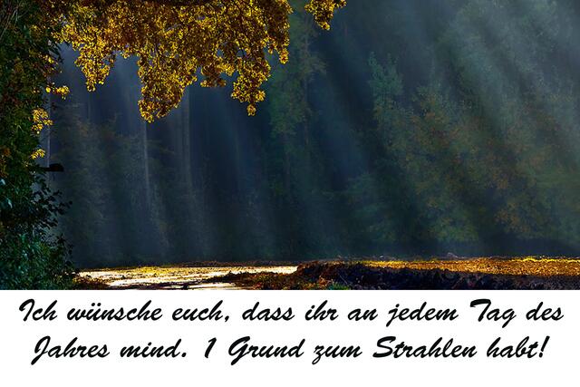 EMPFEHLE VOLLBILDMODUS
Bild # 8969: frühe morgendliche Herbststrahlen