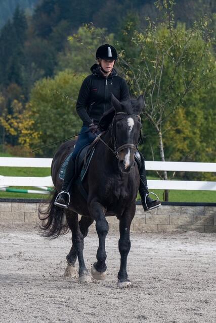 Foto: Gut Enghagen