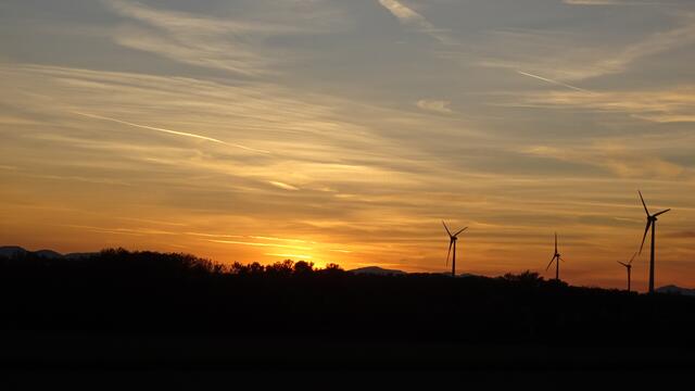 ... den ich Euch kürzlich in einer Bilddoku gezeigt habe, ... | Foto: S.Plischek
