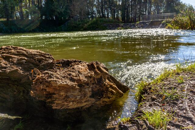 Die tiefstehende Sonne lässt das Wasser glitzern