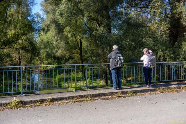 Fotostop am Stockerauer Arm