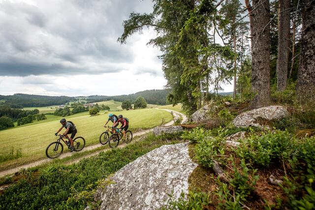 Der Granittrail