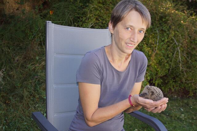 Eva Perr hat von der der Familie Lehner aus Auberg die acht im Garten aufgefundenen verwaisten, unterernährten Igelbabys „in ihre Obhut genommen, um sie über den Winter zu bringen.  | Foto: Helmut Eder