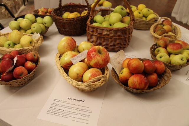 Foto: Jennifer Flechl