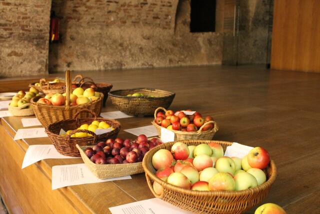 Diese Äpfel standen zur Verkostung zur Verfügung | Foto: Jennifer Flechl