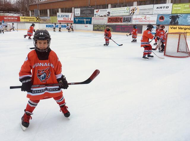 Foto: www.stp-tigers.at