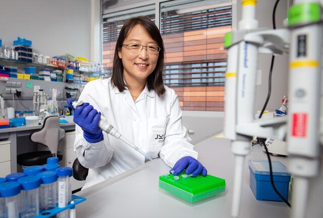 Forscherin Soyoung Lee geht seit Oktober in Linz den molekularen Ursachen von Krebserkrankungen auf den Grund.  | Foto: JKU