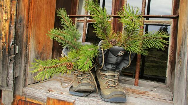 Als Schuhe ausgedient, als Vase originell...