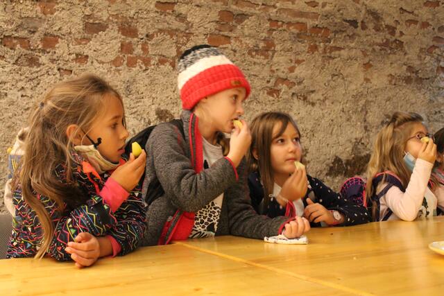 Foto: Jennifer Flechl