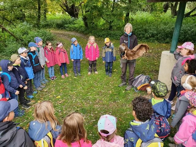 Auf der Suche nach Naturschätzen: die Volkschulkinder von Jedenspeigen. | Foto: Michael Müllner