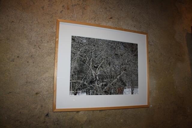 Foto: Elisabeth Zangerl 