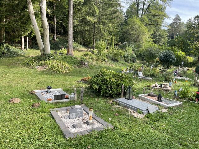 Derzeit gibt es 484 Gräber am Tierfriedhof. | Foto: RegionalMedien
