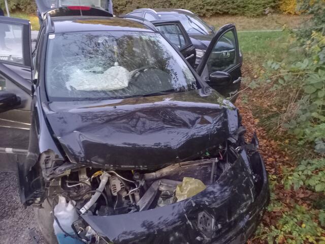 Foto: Markus Bäumler/zema-medien.de