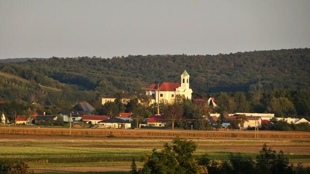 ... &gt;&gt;&gt; Wimpassing am Leithagebirge in der Abendsonne &lt;&lt;&lt; ... | Foto: S.Plischek
