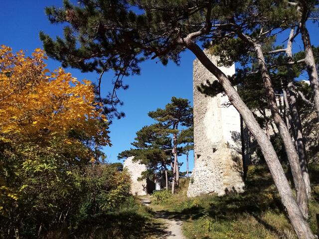Burgruine Mödling