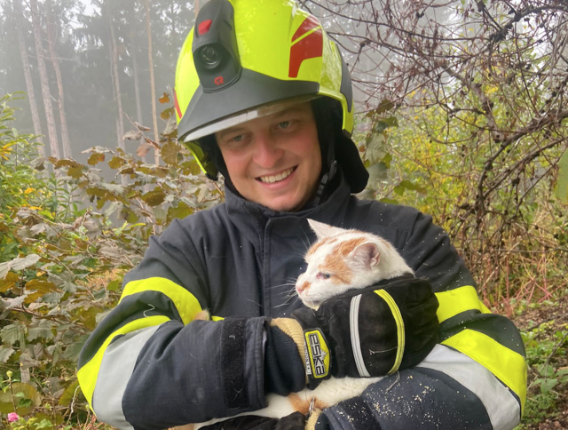 Tierettung in Hollenegg: Die Kameraden der Freiwilligen Hollenegg bewiesen dieser Tage ein Herz für Tiere und befreiten eine Katze aus einer äußerst misslichen Lage.