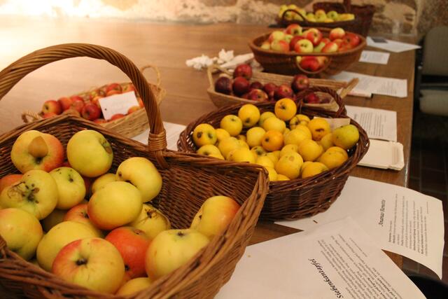 Foto: Jennifer Flechl