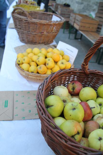 Alte Apfelsorten zum Kaufen | Foto: Jennifer Flechl
