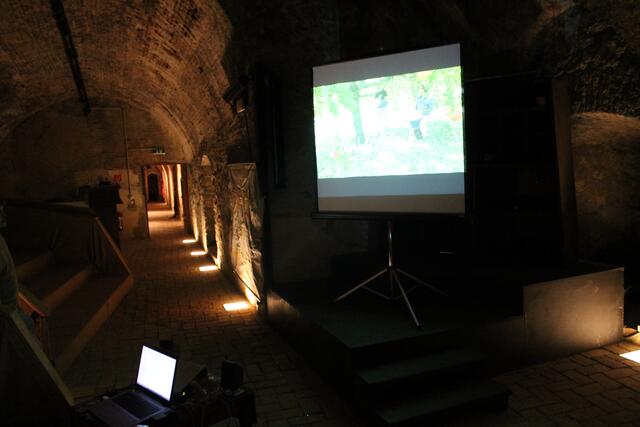 Märchenfilm in der Burg | Foto: Jennifer Flechl