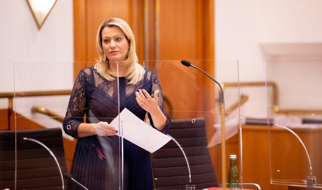 „Wir erfüllen unsere Asylquote mit 86 Prozent und sind damit an dritter Stelle im Bundesländerrranking“, sagte LR Winkler im Landtag. | Foto: Landesmedienservice