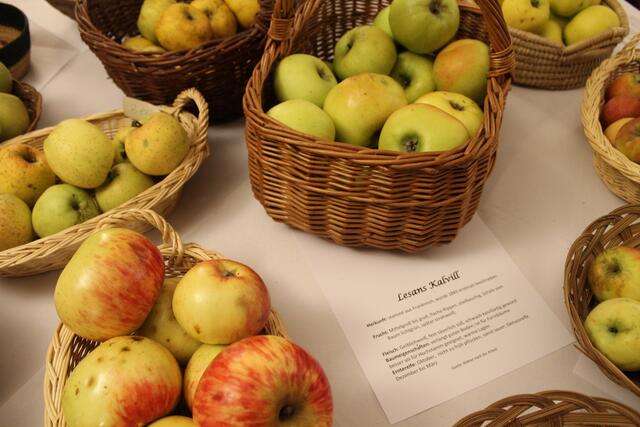 Einige Äpfel der Ausstellung | Foto: Jennifer Flechl