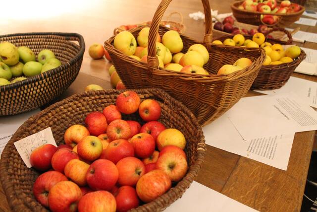 Foto: Jennifer Flechl