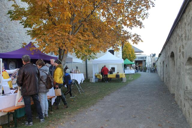 Foto: Jennifer Flechl