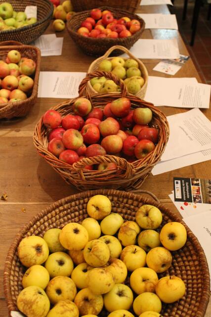 Foto: Jennifer Flechl