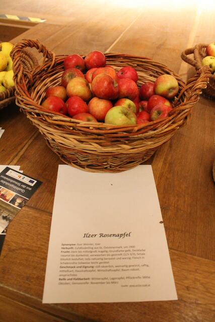 Foto: Jennifer Flechl