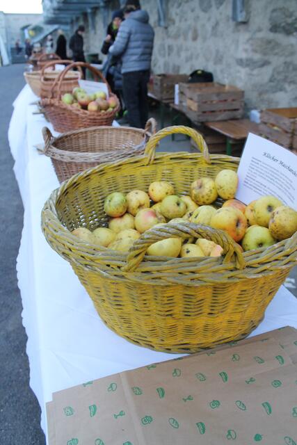 Foto: Jennifer Flechl