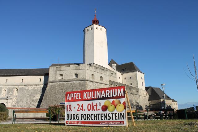 Foto: Jennifer Flechl